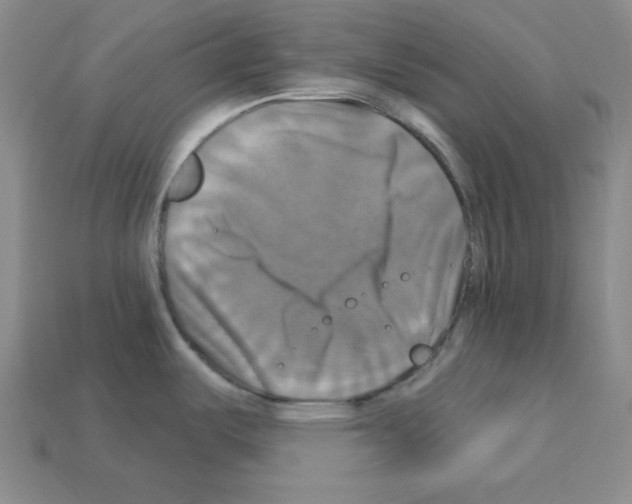 X0000113051487200910081221