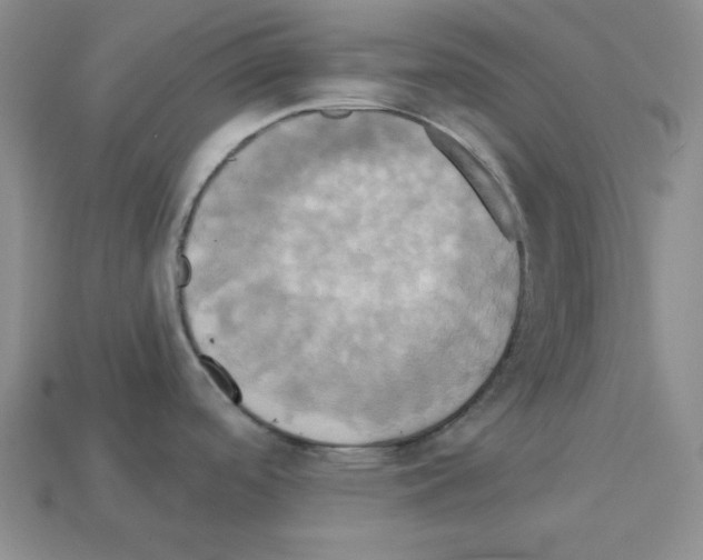 X0000113051488200910081221