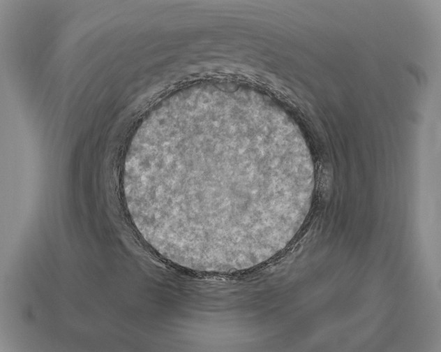 X0000113051489200910081220