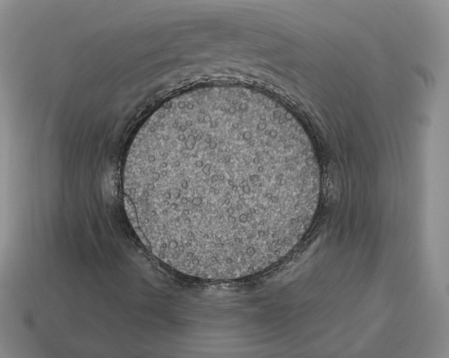 X0000113051490200910081220