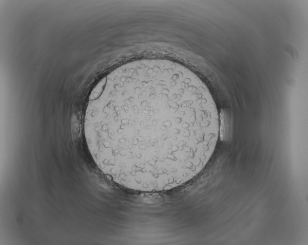 X0000113051491200910081220