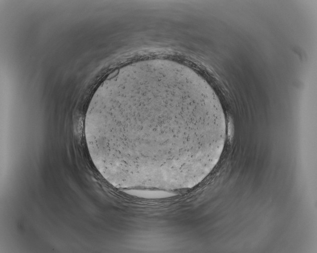 X0000113051492200910081220