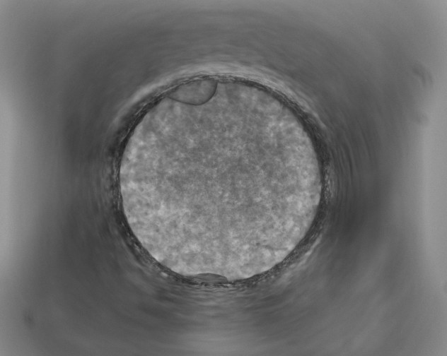 X0000113051494200910081220