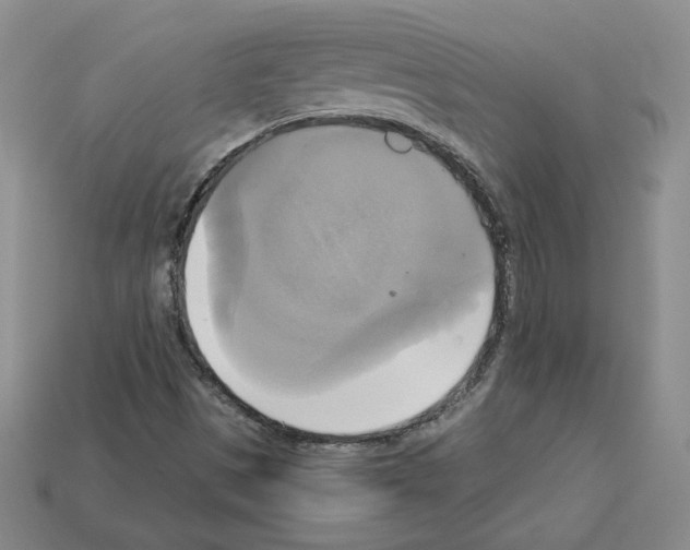 X0000113051497200910081220