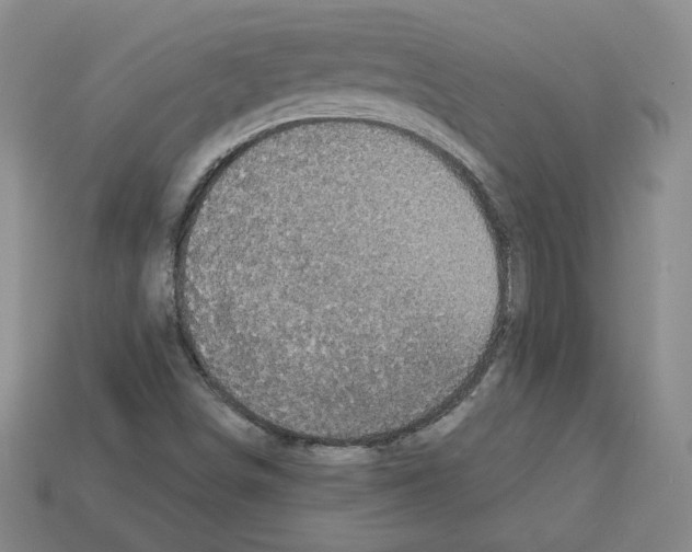X0000113051498200910081220