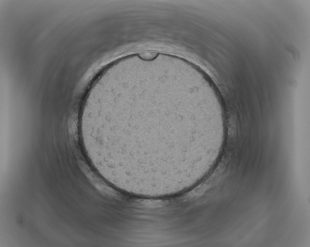 X0000113051499200910081221