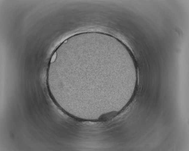 X0000113051500200910081221