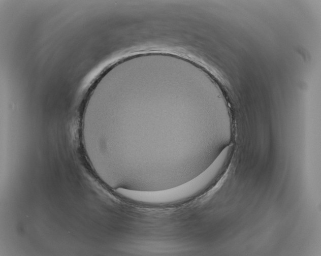X0000113051502200910081221