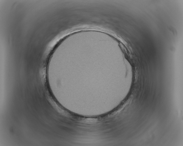 X0000113051503200910081221