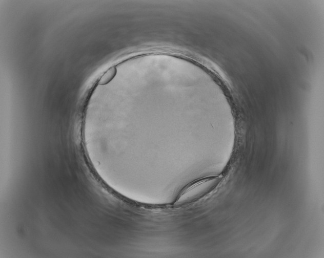 X0000113051504200910081221