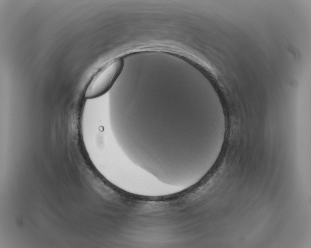 X0000113051506200910081221