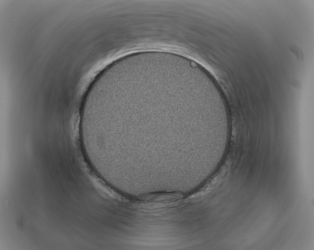 X0000113051507200910081221