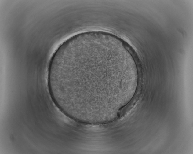 X0000113051508200910081221