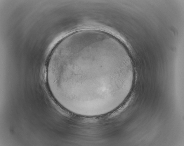X0000113051509200910081221