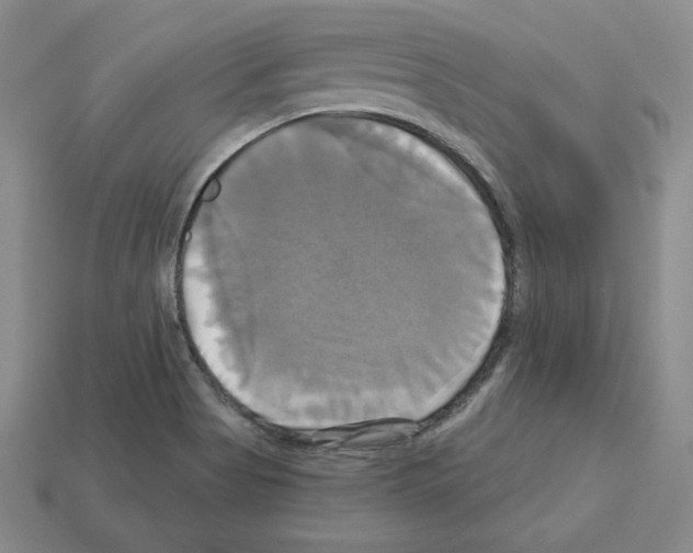 X0000113051513200910081221