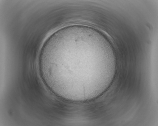 X0000113051514200910081221