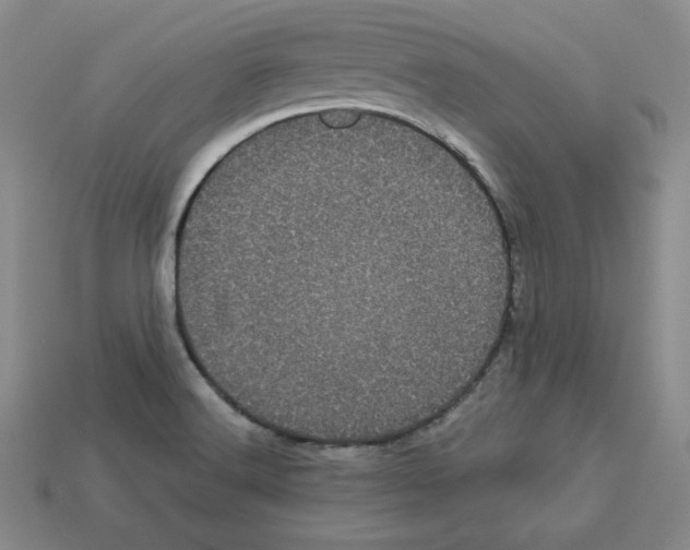 X0000113051516200910081221