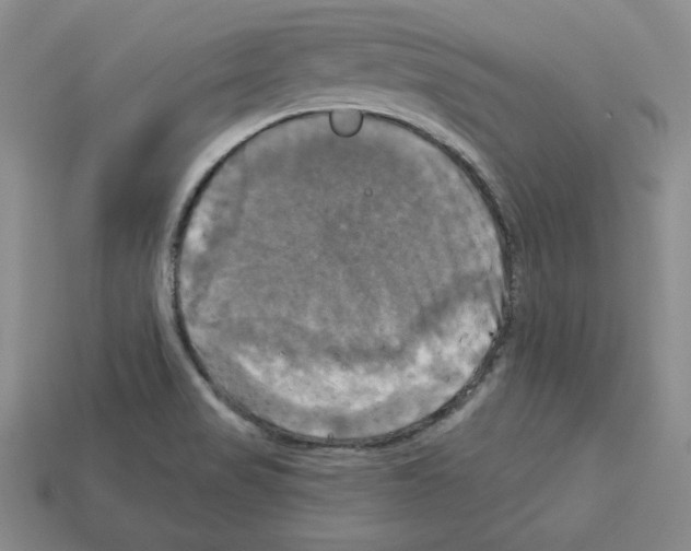 X0000113051517200910081221