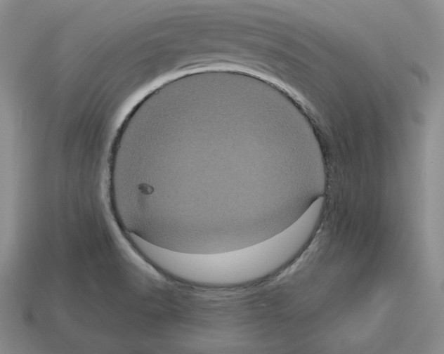 X0000113051518200910081221