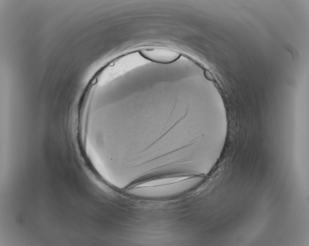 X0000113051519200910081221