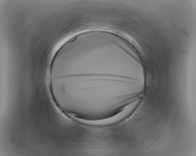 X0000113051520200910081221