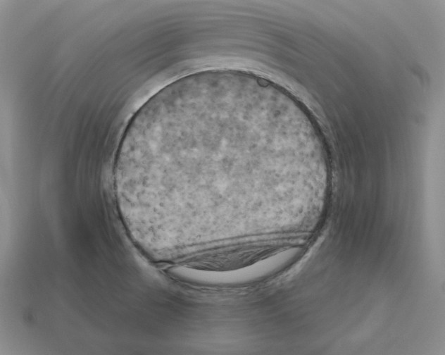 X0000113051521200910081221