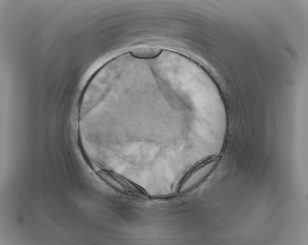 X0000113051522200910081221