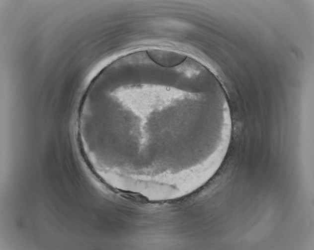 X0000113051523200910081221