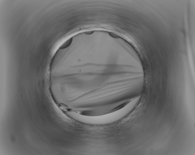 X0000113051524200910081221