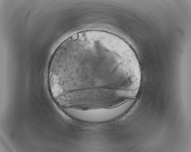 X0000113051525200910081221