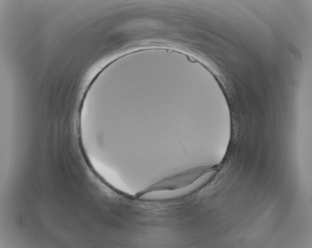 X0000113051527200910081221