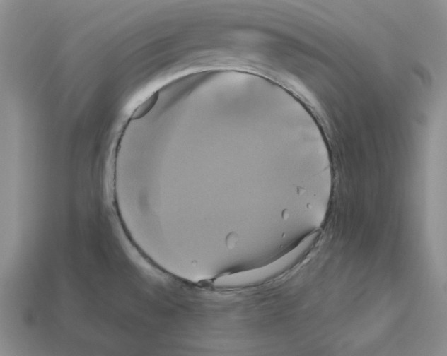 X0000113051528200910081221