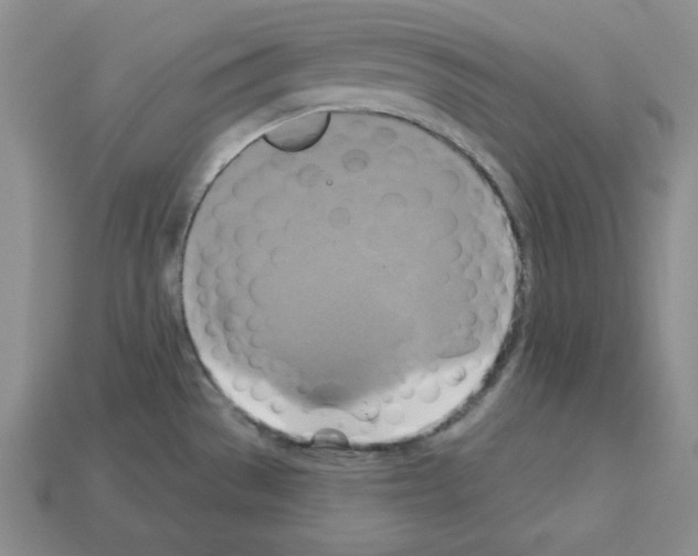 X0000113051529200910081221
