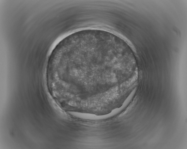 X0000113051530200910081221