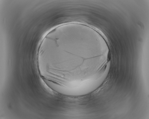 X0000113051532200910081221