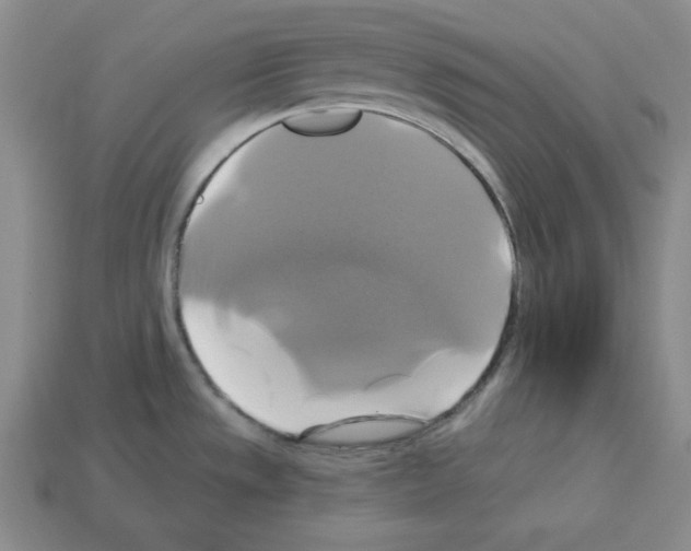 X0000113051533200910081221