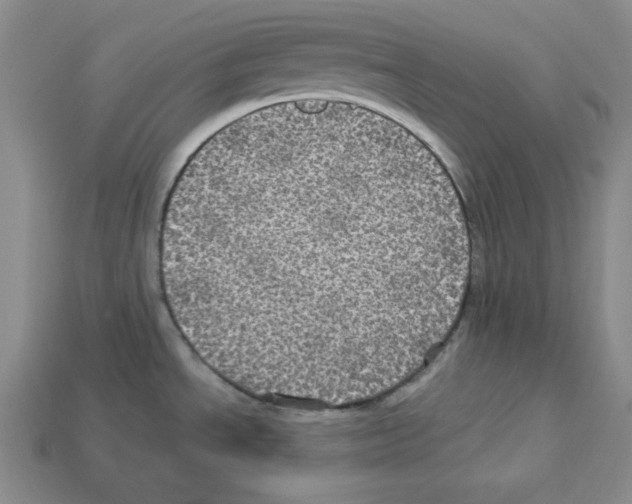 X0000113051534200910081221