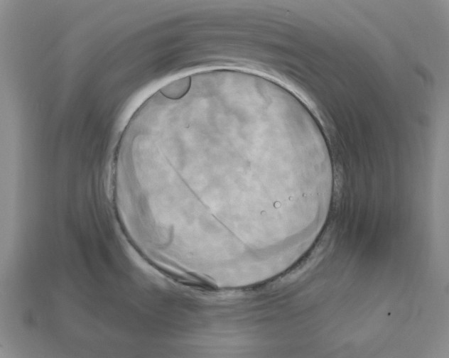 X0000113051535200910081221