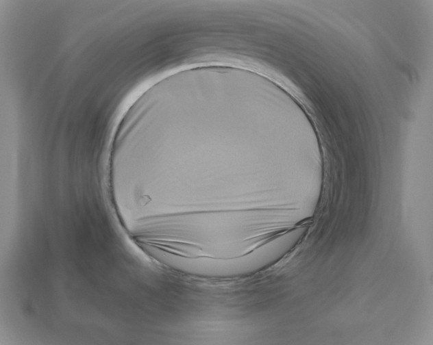 X0000113051536200910081221