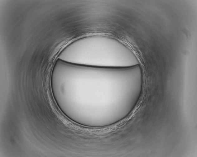 X0000113060001200908280958