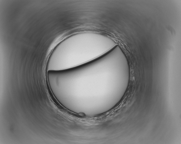 X0000113060004200908280958