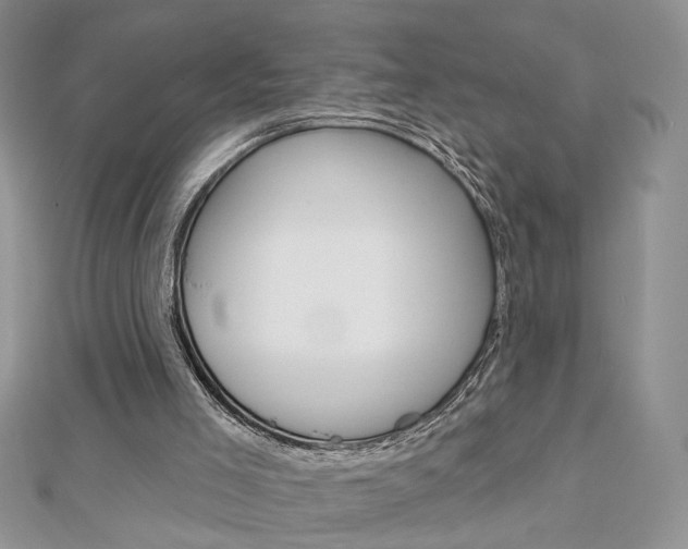 X0000113060005200908280958