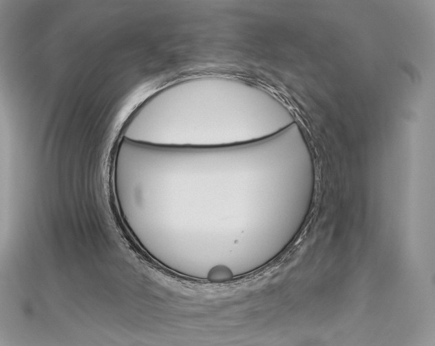 X0000113060006200908280958