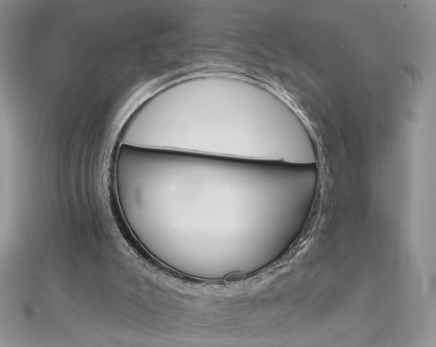X0000113060007200908280958