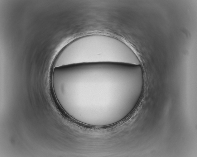 X0000113060008200908280958