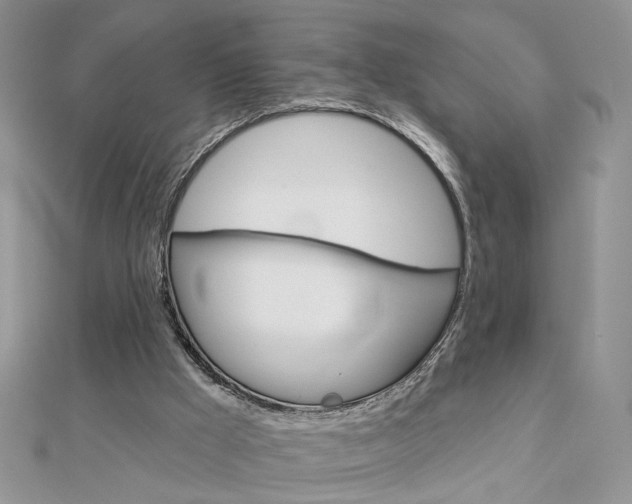 X0000113060009200908280958