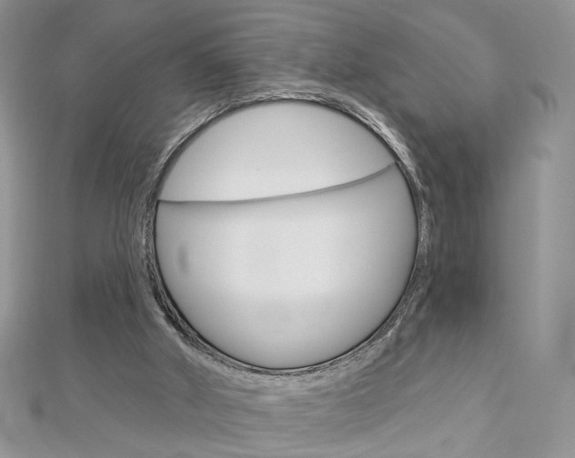 X0000113060010200908280958