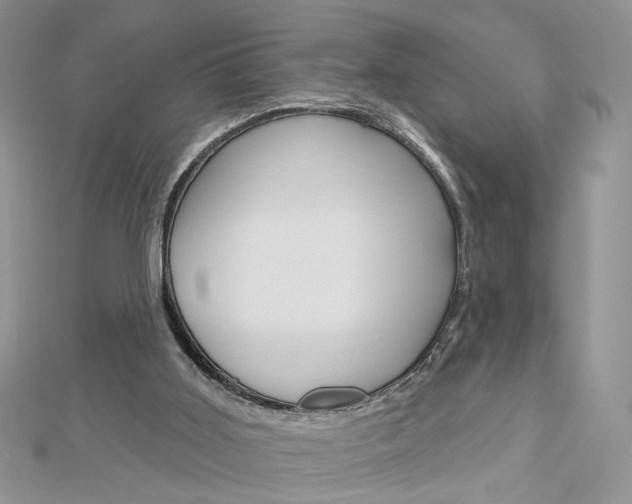 X0000113060011200908280958