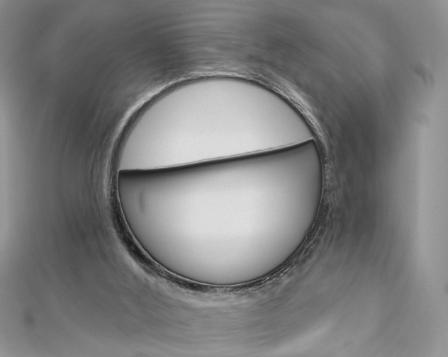 X0000113060012200908280958