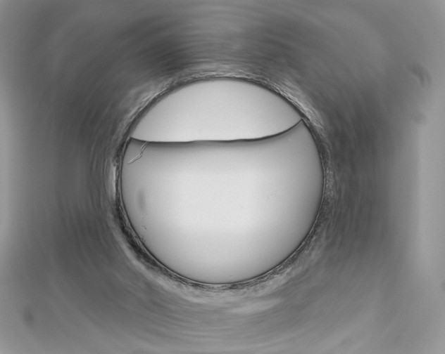 X0000113060014200908280958